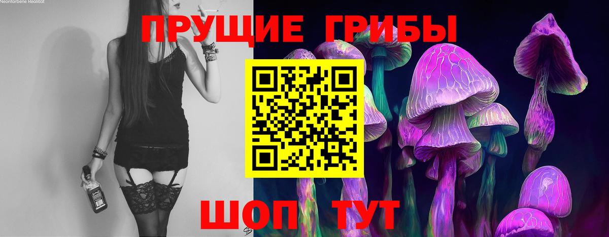 Псилоцибиновые грибы прущие грибы  Вход с VPN  Камышин 
