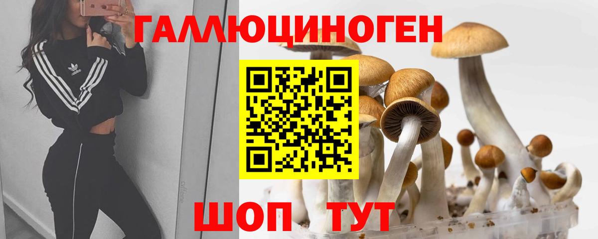 Галлюциногенные грибы Cubensis Камышин