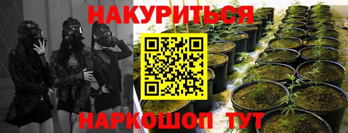 Шишки марихуана планчик Камышин